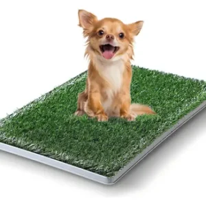 Tapete Entrenador de Pasto Sintético | Baño Ecológico para Perros